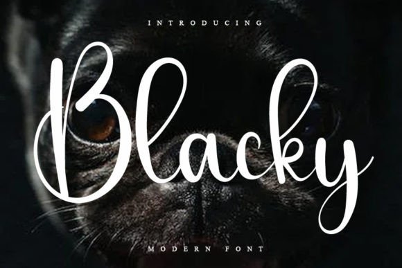 Blacky: A Charming Script Font for Elegant Web Design