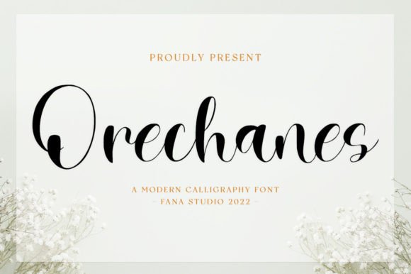 Enhance Your Brand with Orechanes: A Versatile Script Font