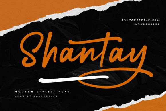 Shantay: A Bold Script Font for Creative Web Design